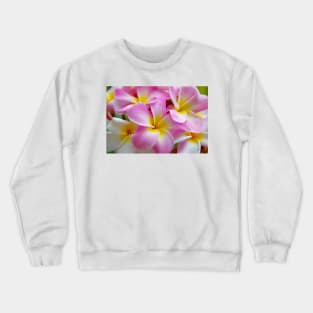 Pretty in Pink Crewneck Sweatshirt